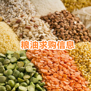 常年收购各类优质杂粮小米（食用煮粥专用）